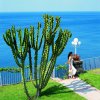Alberghi 4 stelle - Hotel Continental Mare