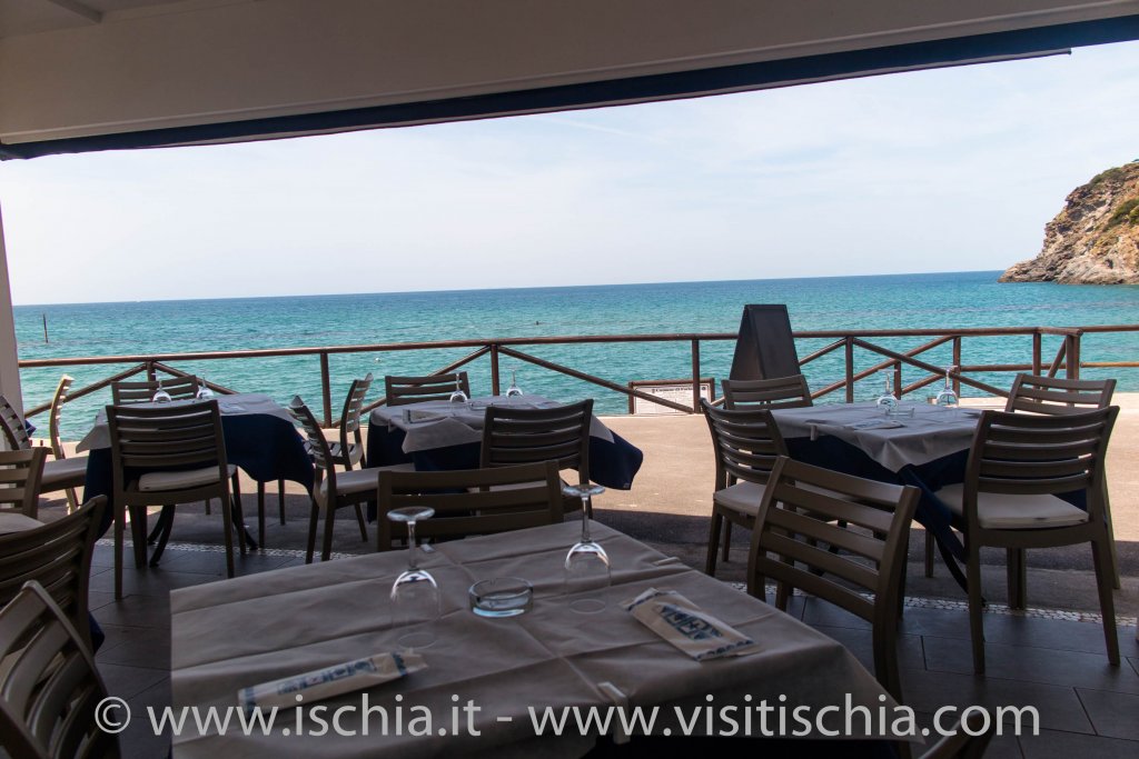 Bar_Ristorante_la_Rondinella_Ischia-1740