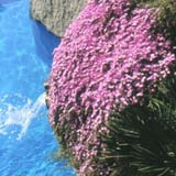 Mappe idrogeologiche mappe-idrogeologiche